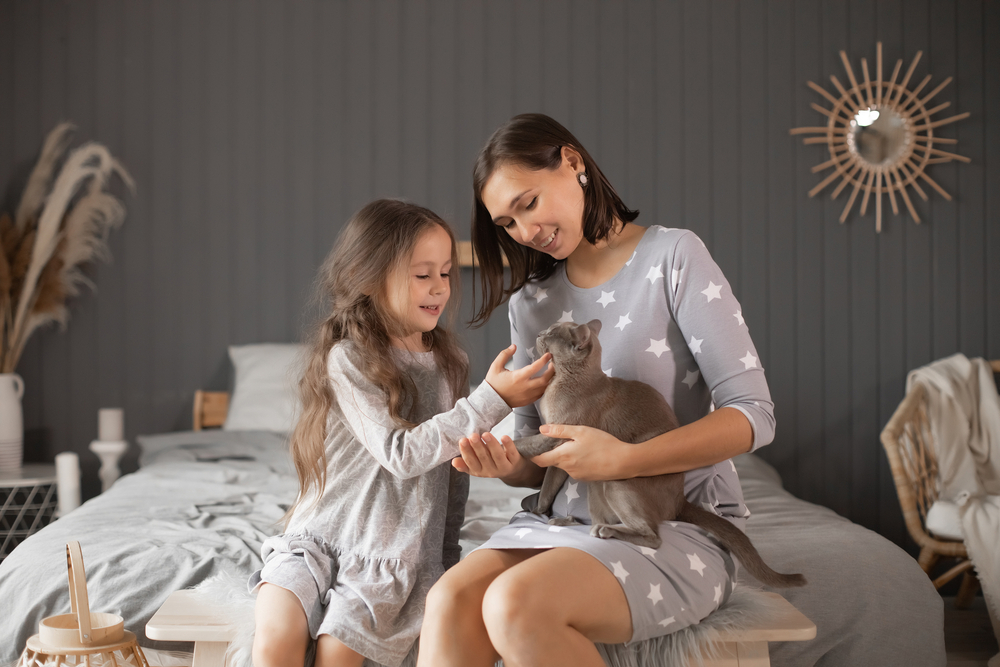 Madre e figlia sedute sul letto che interagiscono dolcemente con il proprio gatto